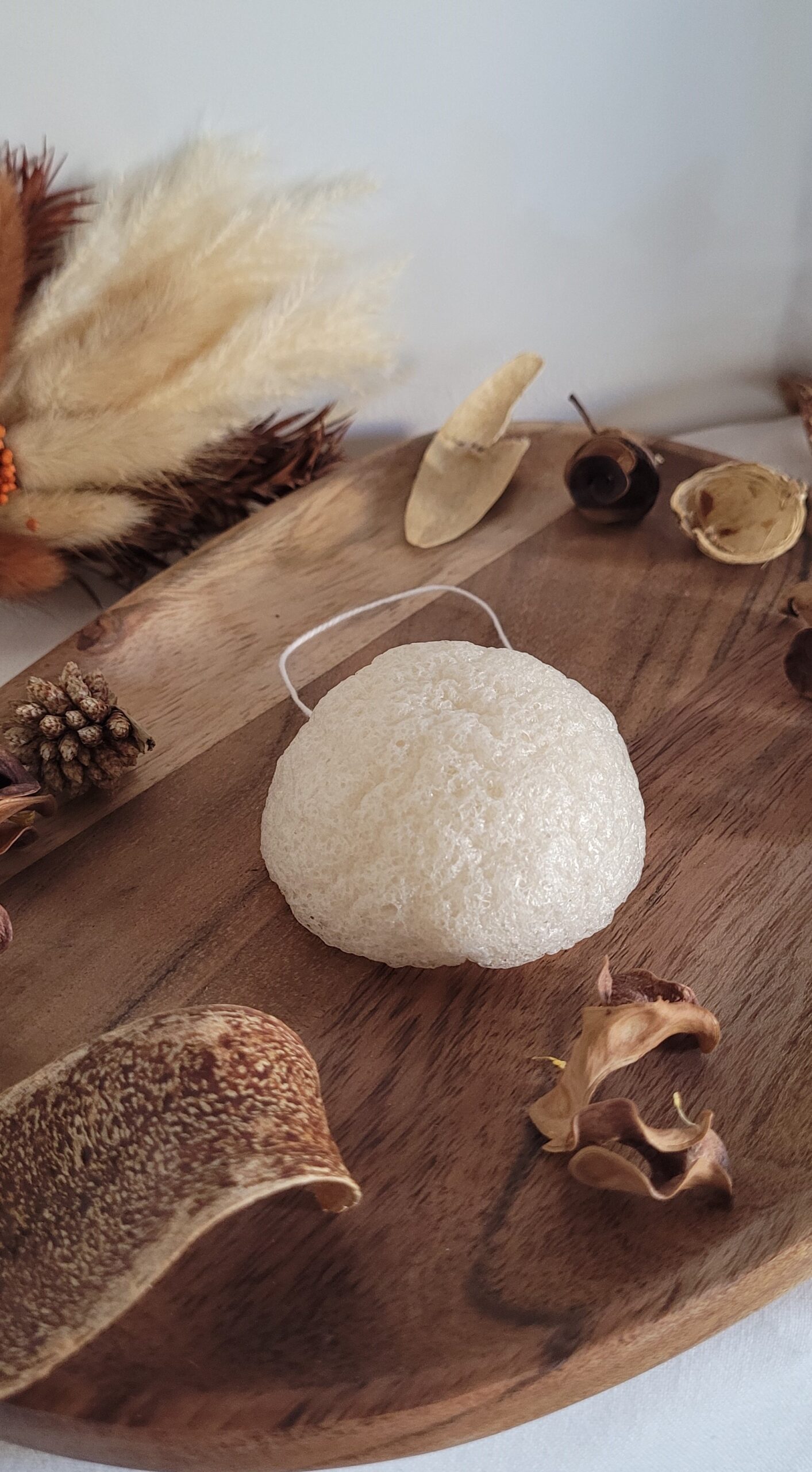 éponge konjac visage