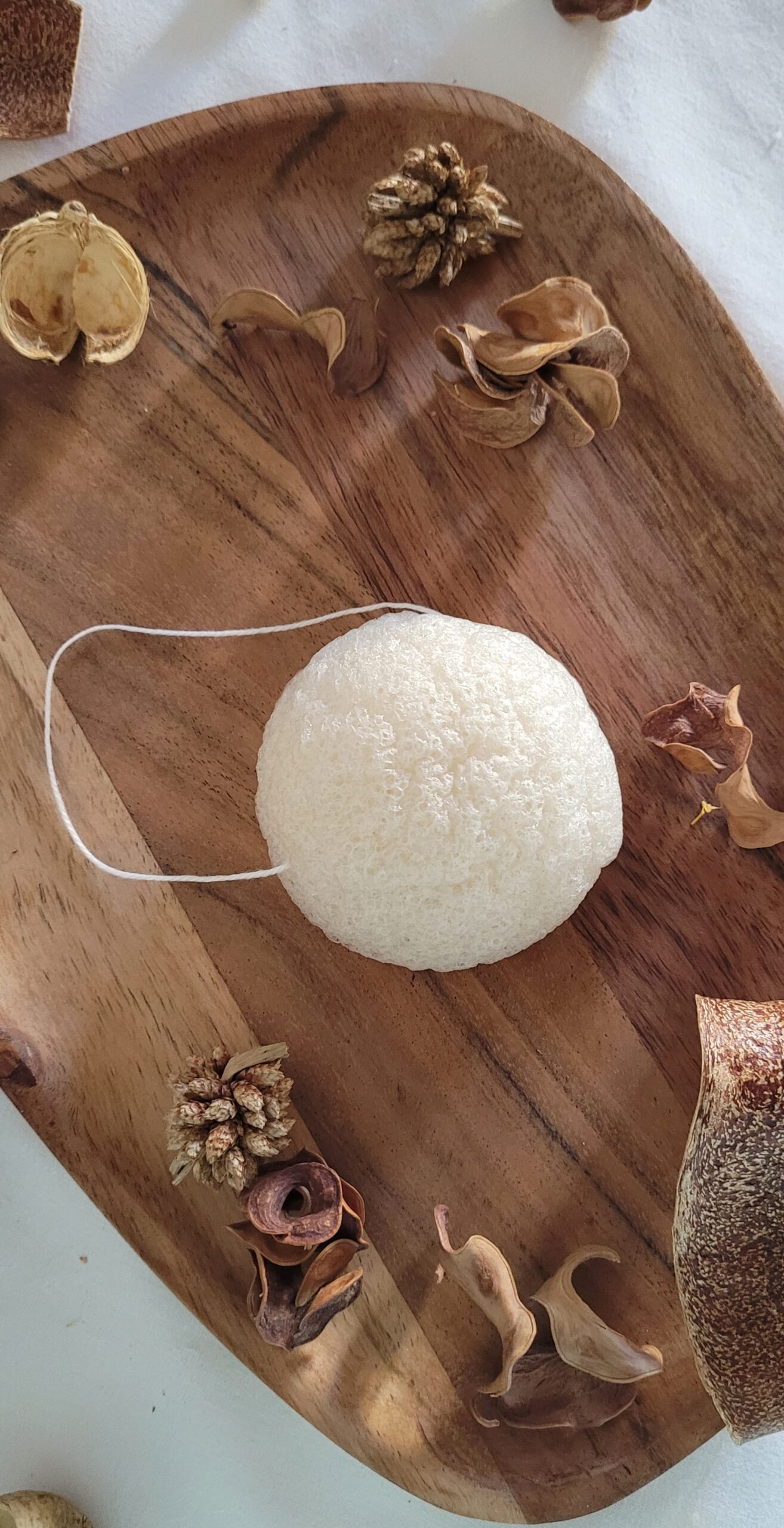 éponge konjac