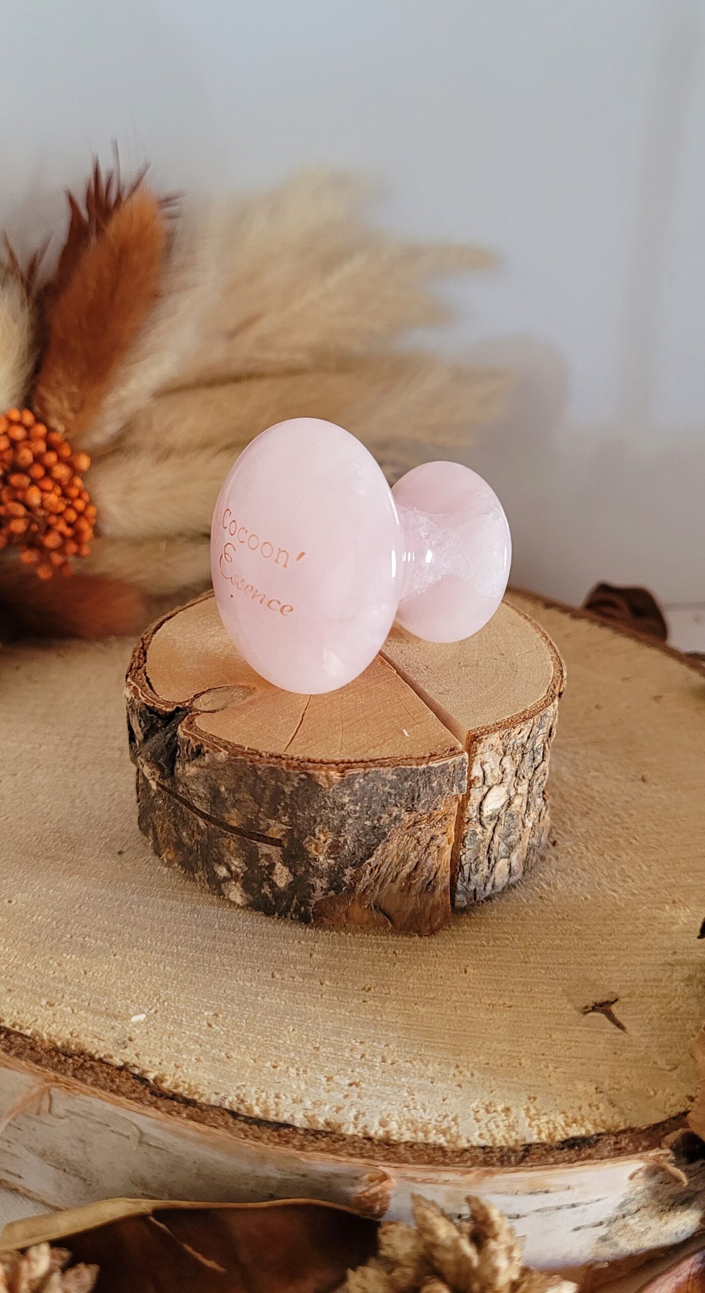 champignon massage visage quartz rose